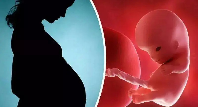 2024年哈尔滨试管婴儿孩子要多少钱附网友捐卵辅助受孕的经历
