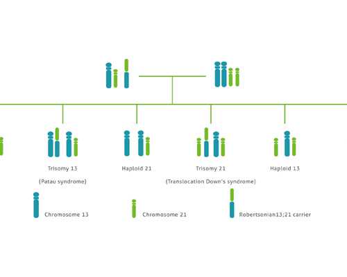 辅酶q10哪个牌子好，拒绝无效辅酶 珠海代生机构